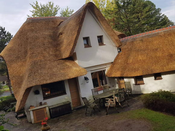 Thatched roof, Renovation, Repair